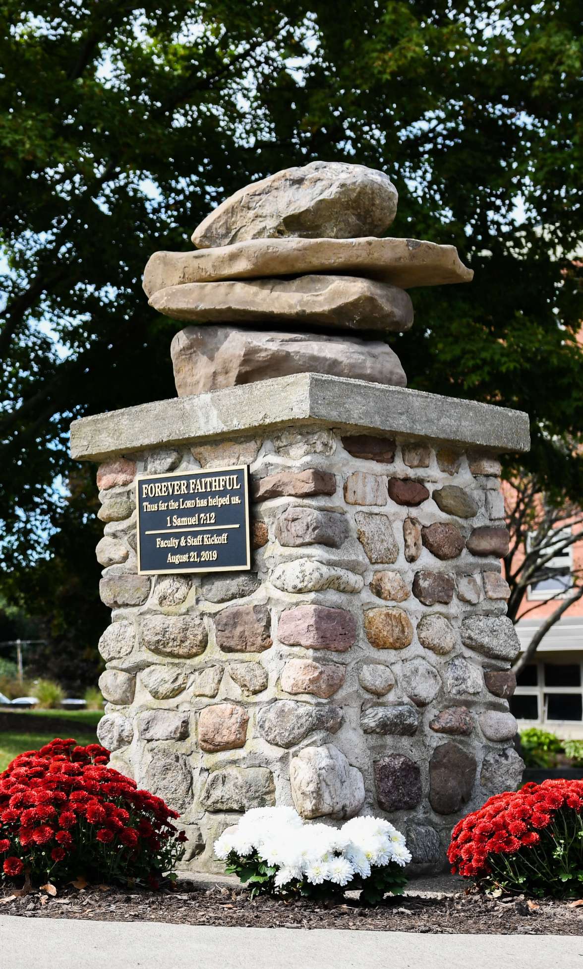 Education That Forms You for Advanced Practice and More