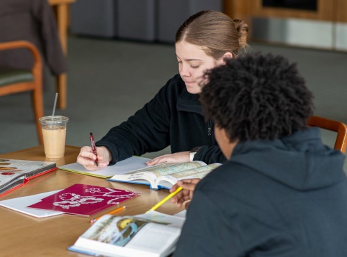 2 students sit and study in the library together.