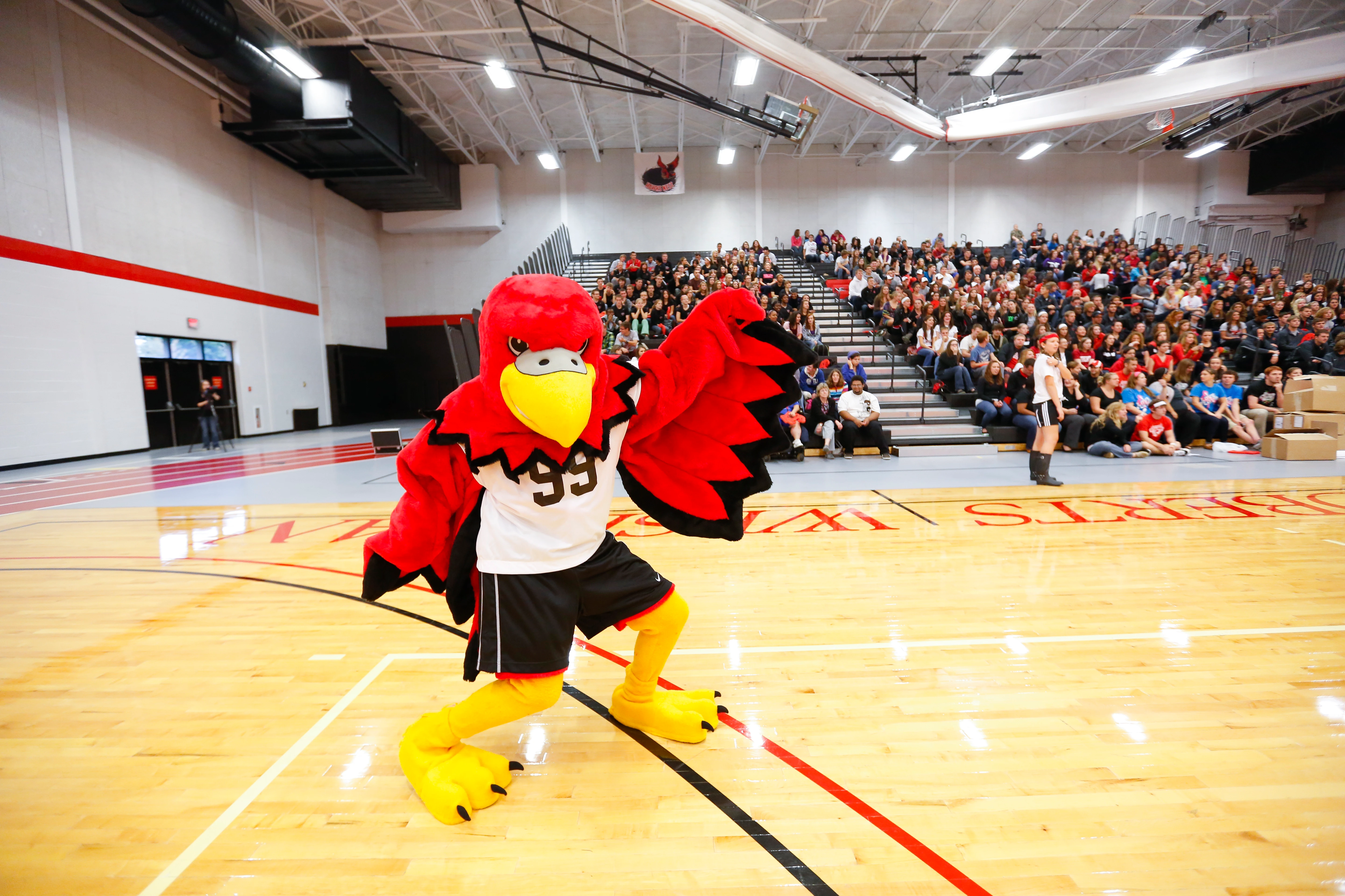 Reggie the Redhawk