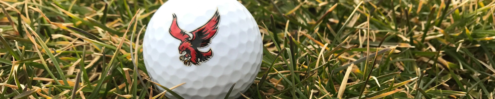 Golf ball with Redhawks logo on grass