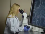 Student Studying Forensic Science With Microscope